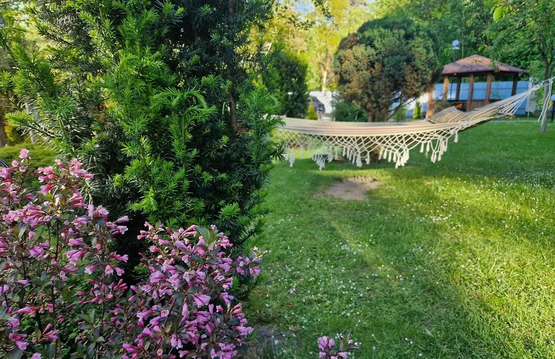 Villa Zenko-1
